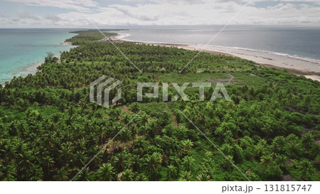French Polynesia, Rangiroa island: Turquoise ocean waves gently washing sandy shores of Rangiroa, stunning coral atoll in French Polynesia, surrounded by lush palm trees greenery. Drone flight French Polynesia, Rangiroa island: Turquoise ocean waves gently washing sandy shores of Rangiroa, stunning coral atoll in French Polynesia, surrounded by lush palm trees greenery. Drone flight 131815747