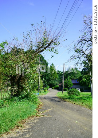 9331　「新しき村」 131815816