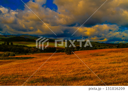 夕日に染まる丘 131816209