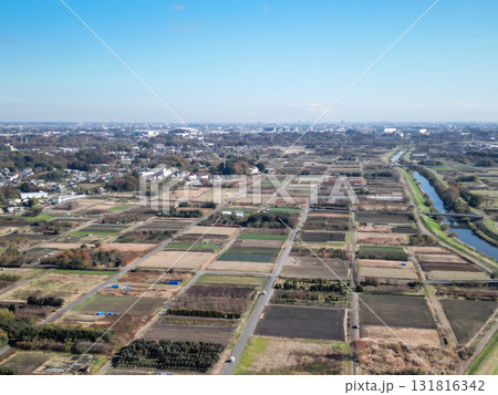 空撮「埼玉県」見沼田んぼの秋風景　さいたま市見沼区 131816342