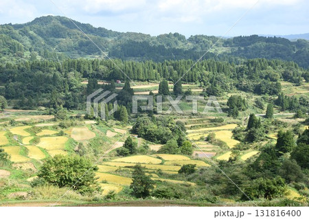 星峠棚田 十日町 星峠棚田 十日町 131816400
