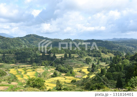 星峠棚田 十日町 星峠棚田 十日町 131816401