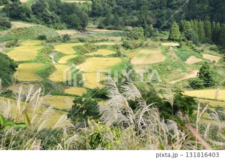 星峠棚田　十日町　 131816403