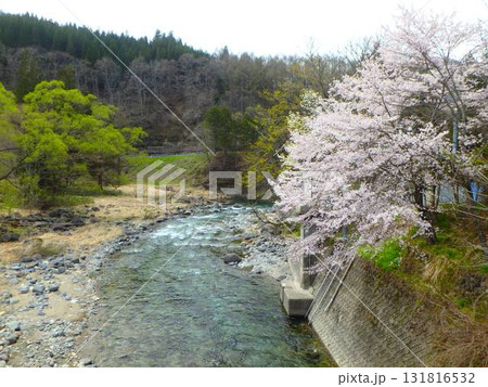 桜咲く飛騨庄川 — 春の渓流釣りにて 桜咲く飛騨庄川 — 春の渓流釣りにて 131816532