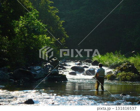 緑のステージ — 飛騨庄川での初夏のひととき 131816537
