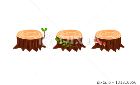 切り株3種　水彩風手描きイラスト 131816656
