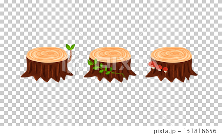 切り株3種　水彩風手描きイラスト 131816656