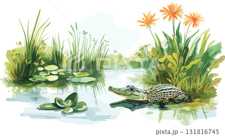 Everglades National Park. Everglades National Park hand drawn watercolor illustration Everglades National Park. Everglades National Park hand drawn watercolor illustration 131816745
