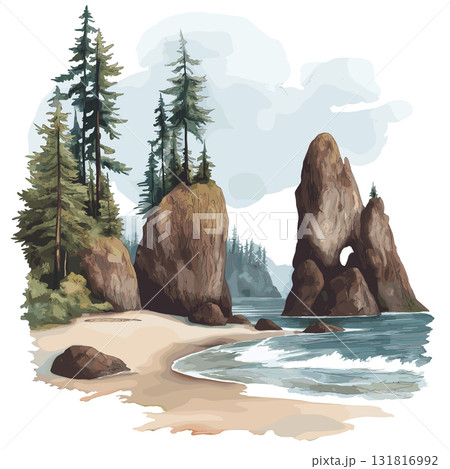 Olympic National Park. Olympic National Park hand drawn watercolor illustration 131816992