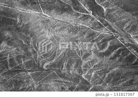 南米ペルー・ナスカの地上絵 サル 南米ペルー・ナスカの地上絵 サル 131817307