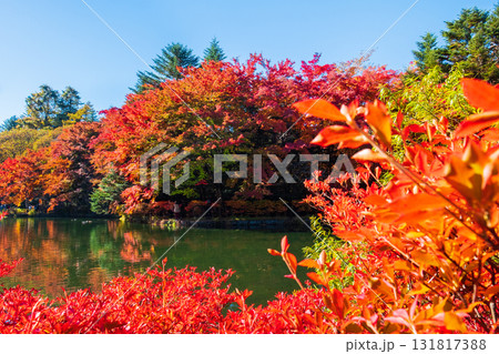 軽井沢・雲場池（秋） 131817388