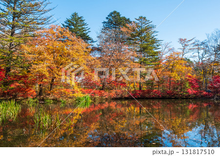 軽井沢・雲場池(秋) 軽井沢・雲場池(秋) 131817510