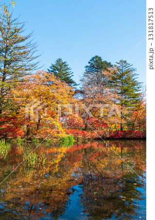 軽井沢・雲場池（秋） 131817513