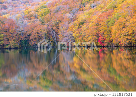 「青森県」紅葉した美しい蔦沼の風景 131817521