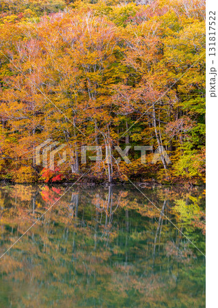 「青森県」紅葉した美しい蔦沼の風景 「青森県」紅葉した美しい蔦沼の風景 131817522