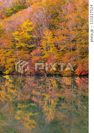「青森県」紅葉した美しい蔦沼の風景 131817524
