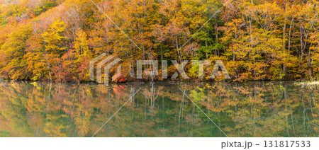 「青森県」紅葉した美しい蔦沼の風景 131817533