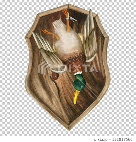 Duck, male, hangs from a nail on an oak shield. Hand-drawn watercolor illustration isolated on a white background Duck, male, hangs from a nail on an oak shield. Hand-drawn watercolor illustration isolated on a white background 131817566