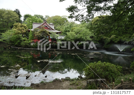 井の頭公園 井の頭池 弁財天 井の頭公園 井の頭池 弁財天 131817577