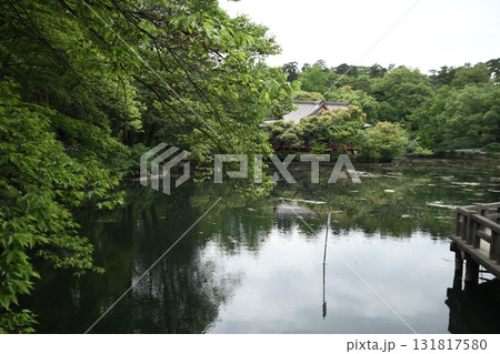 井の頭公園 井の頭池 弁財天 井の頭公園 井の頭池 弁財天 131817580