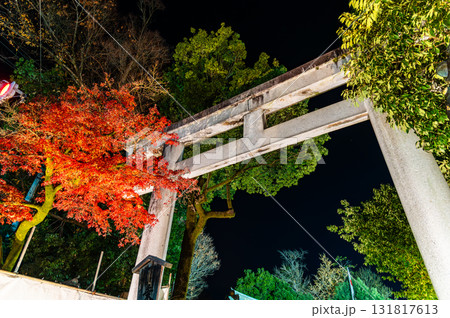 埼玉 秩父神社　大鳥居 131817613