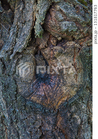 ゆりの里公園・もうひとつの秋 131817763