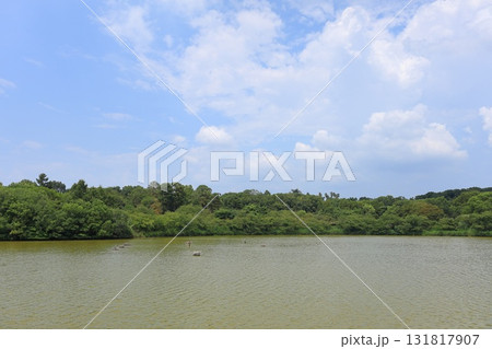 大阪府・大阪市・花博記念公園鶴見緑地 131817907