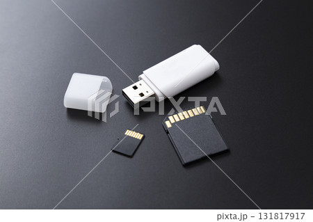 USBフラッシュドライブとSDカード USBフラッシュドライブとSDカード 131817917