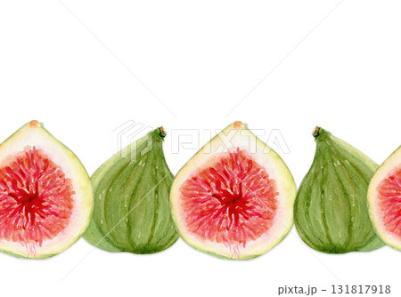 Figs watercolor seamless border, whole fruits, slices isolated on white. Hand painted illustration for food design, organic market, packaging, recipe books, kitchen decor, healthy lifestyle concepts Figs watercolor seamless border, whole fruits, slices isolated on white. Hand painted illustration for food design, organic market, packaging, recipe books, kitchen decor, healthy lifestyle concepts 131817918