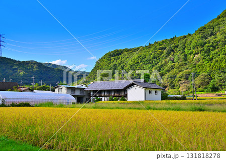 農家と土蔵 米の収穫時期 秋の風景 農家と土蔵 米の収穫時期 秋の風景 131818278