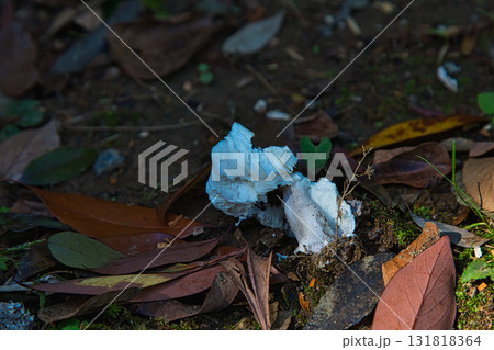 福井県グリーンセンターもうひとつの秋 福井県グリーンセンターもうひとつの秋 131818364