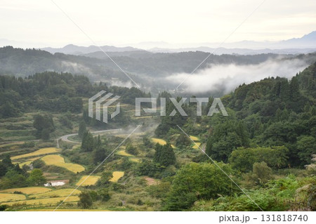 雲海の星峠棚田　十日町　 131818740