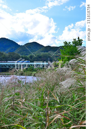 秋の利根川風景 上越線貨物列車通過中 棚下不動付近 秋の利根川風景 上越線貨物列車通過中 棚下不動付近 131818784