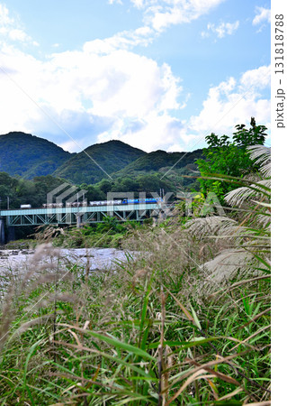 秋の利根川風景　上越線貨物列車通過中　棚下不動付近　　　　 131818788