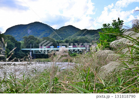 秋の利根川風景　上越線貨物列車通過中　棚下不動付近　　　　 131818790