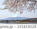 河口湖北岸で春の訪れで春霞と桜の富士山 131819228