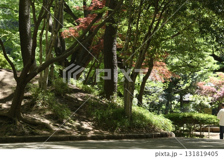 蚕糸の森公園 蚕糸の森公園 131819405