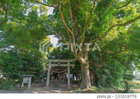 亀岡市の田園風景の中にたたずむ藤越神社 131819779