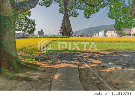 亀岡市の田園風景の中にたたずむ藤越神社 亀岡市の田園風景の中にたたずむ藤越神社 131819781