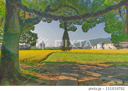 亀岡市の田園風景の中にたたずむ藤越神社 131819782
