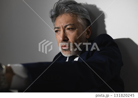 中高年ビジネスマン 中高年ビジネスマン 131820245