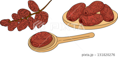 Detailed colored vector art of dates, showcasing dried dates Detailed colored vector art of dates, showcasing dried dates 131820276