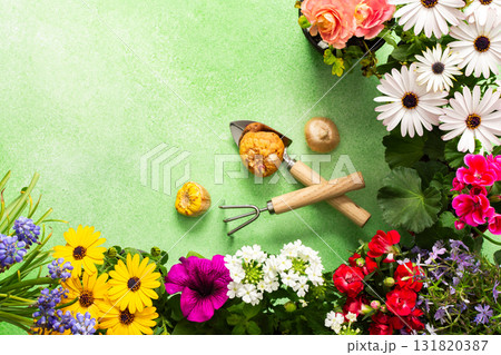 A vibrant balcony is decorated with various spring flowers in full bloom. Gardening tools are placed among the flowers, highlighting a fresh and lively spring ambiance A vibrant balcony is decorated with various spring flowers in full bloom. Gardening tools are placed among the flowers, highlighting a fresh and lively spring ambiance 131820387