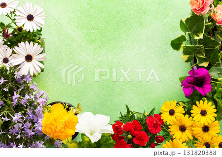 A beautiful collection of spring flowers decorates a balcony or terrace, creating a lively and cheerful atmosphere. Various colors and types of flowers bring joy to the space. 131820388