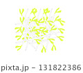 複数のもやしのイラスト 131822386