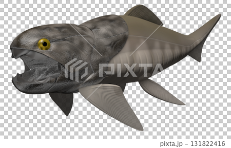 鄧氏魚 鄧氏魚 131822416