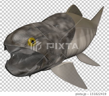 ダンクルオステウス ダンクルオステウス 131822419