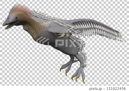 Anchiornis 131822456