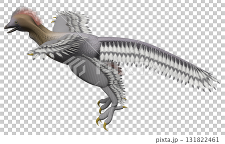 Ankiorunisu 131822461