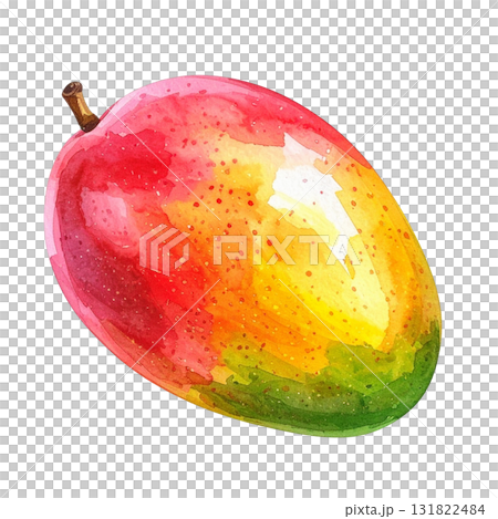 芒果的水彩插圖 芒果的水彩插圖 131822484